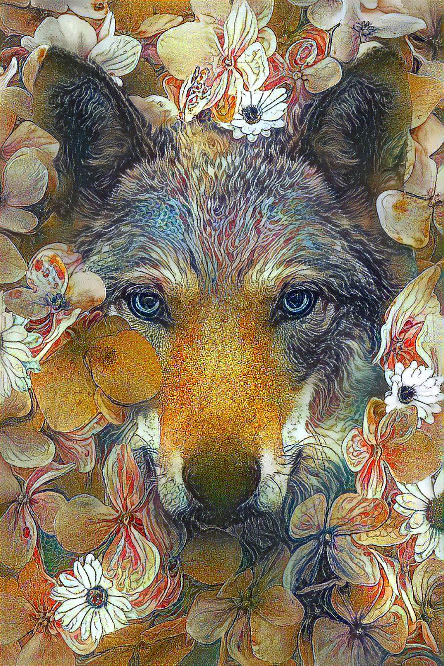 Wolf surrounded with flowers 