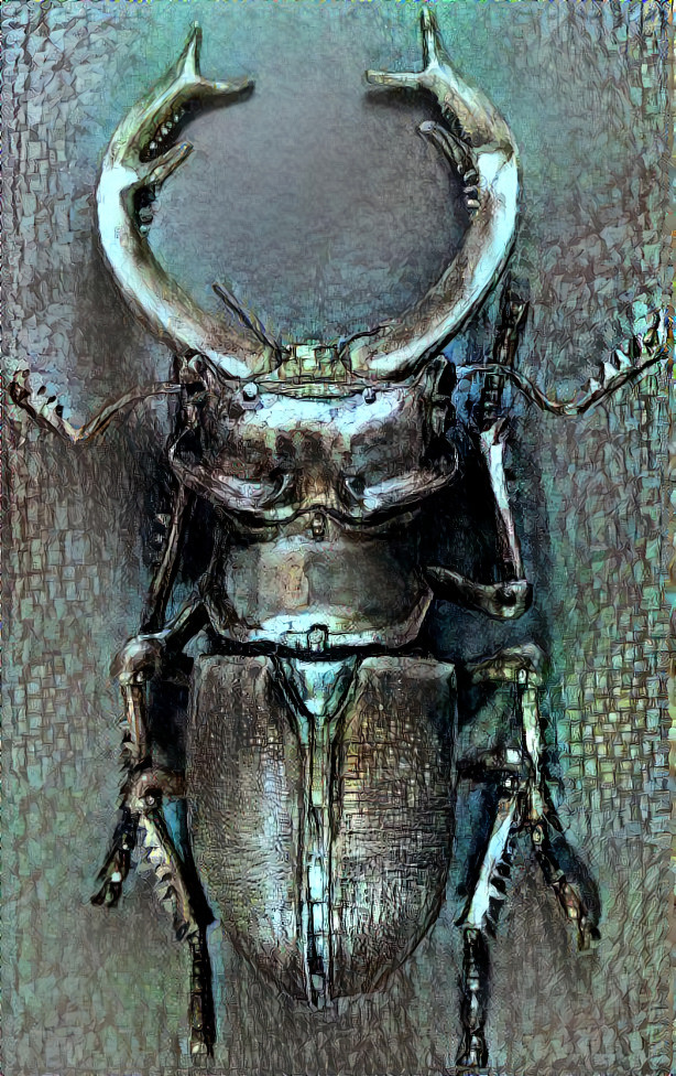 Bronzed Beetle