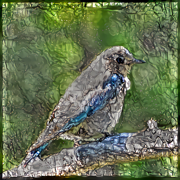 Female Mountain Bluebird + Pinwheels