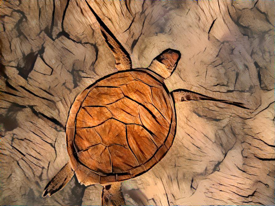 Sea Turtle in Wood