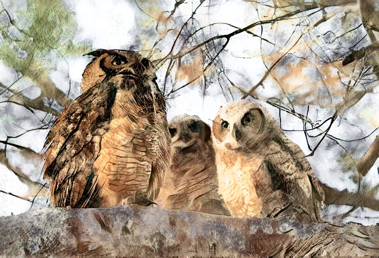 Owl Family Conference