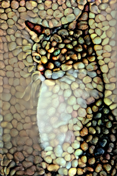 Pebble Mosaic Cat