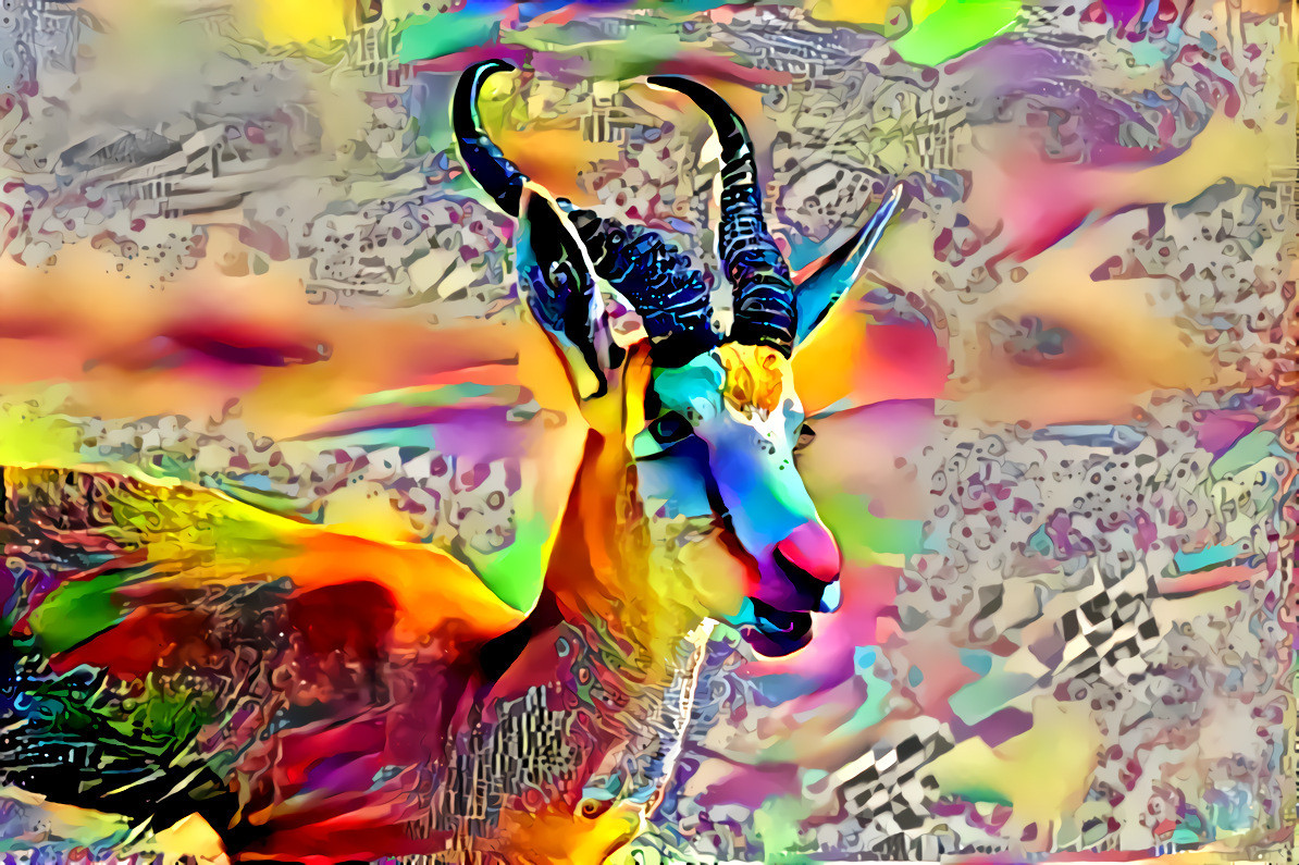 Technicolor springbok