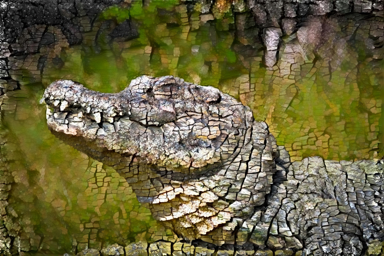 Crocodile 