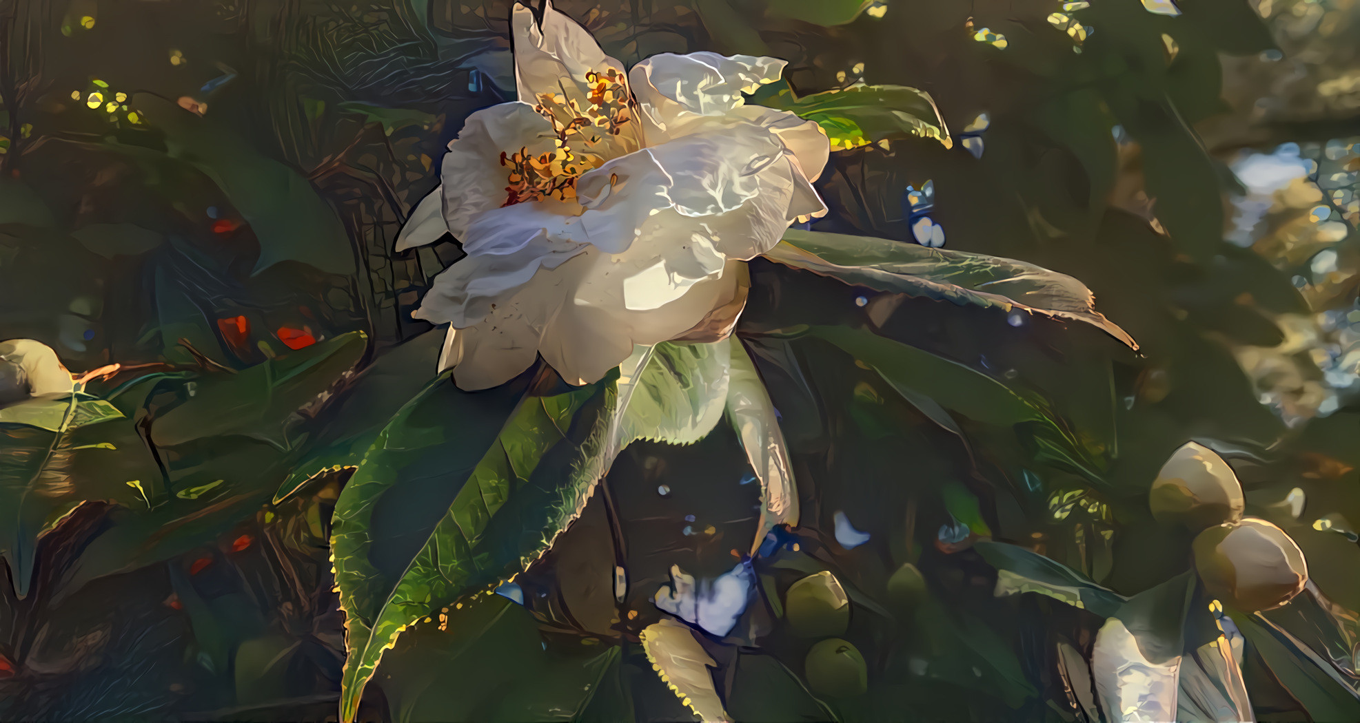 Filoli spring series #6: camellia