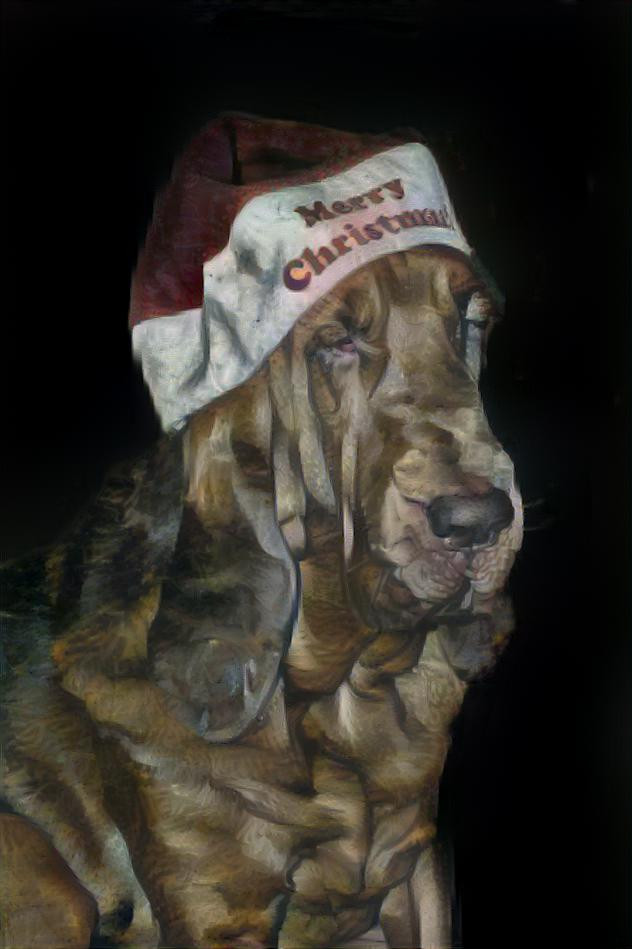 My bloodhound boy Rufus