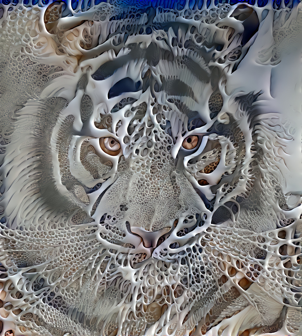 Deep Tiger 12