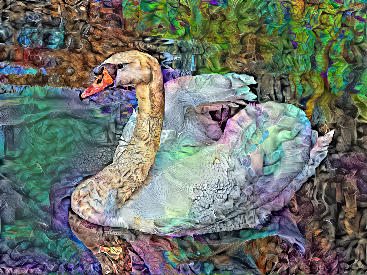 Fairy swan