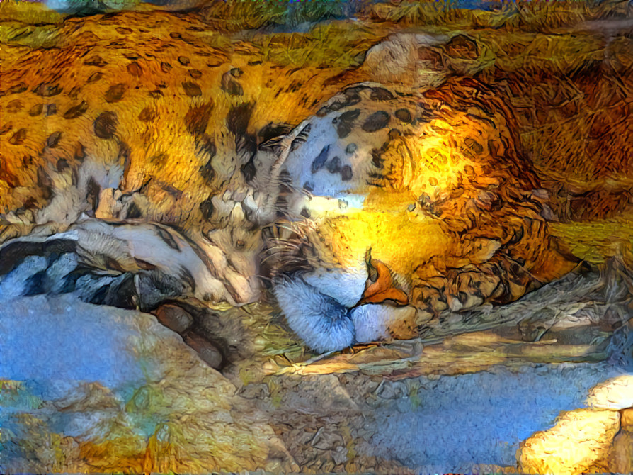 Leopard dreaming 