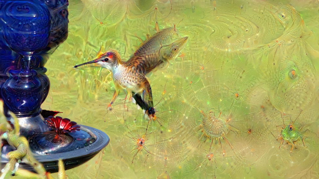 Deep Dream Hummingbird