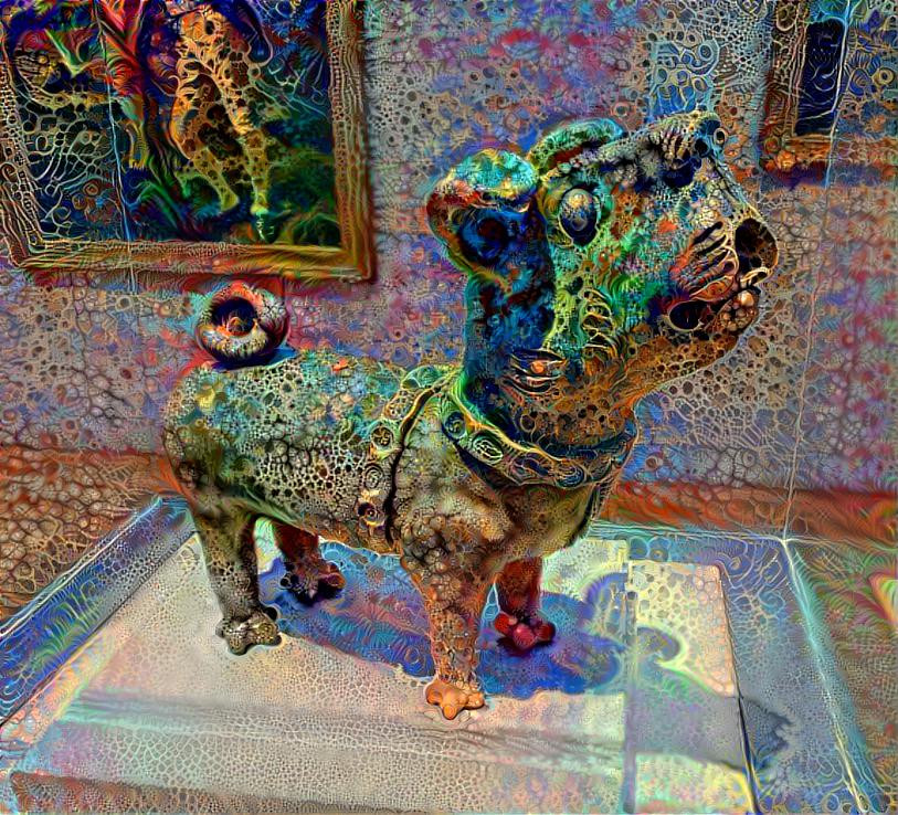 Colorful Chinese dog