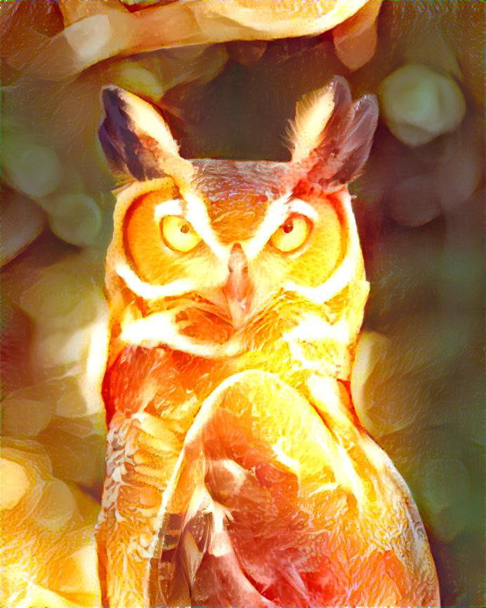 Fire owl