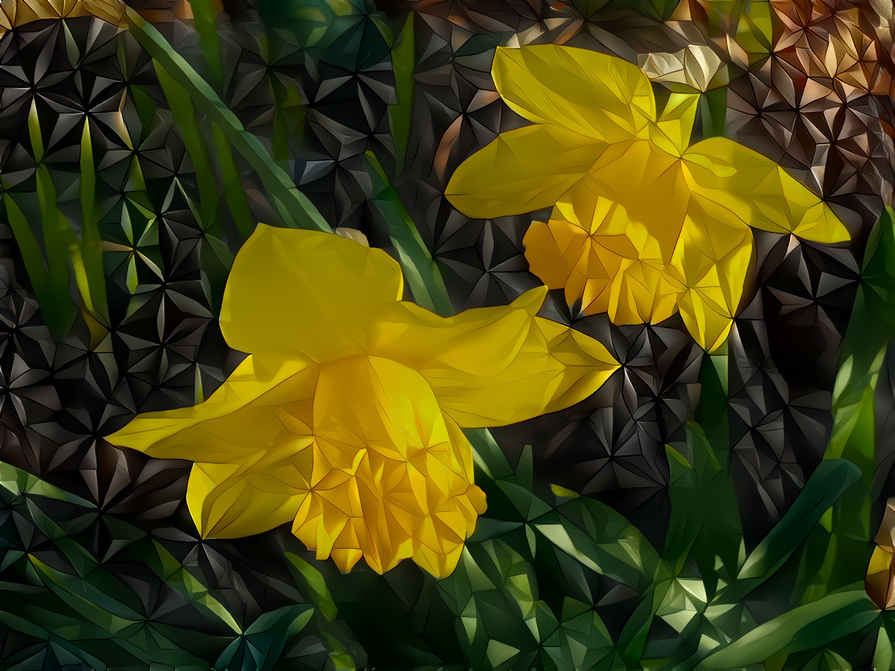 Daffodils in Kent, March 2021