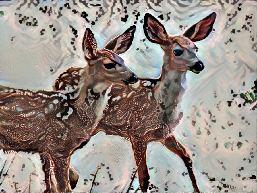 My twin fawns