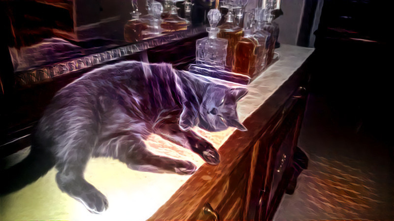 Liquored Kitty