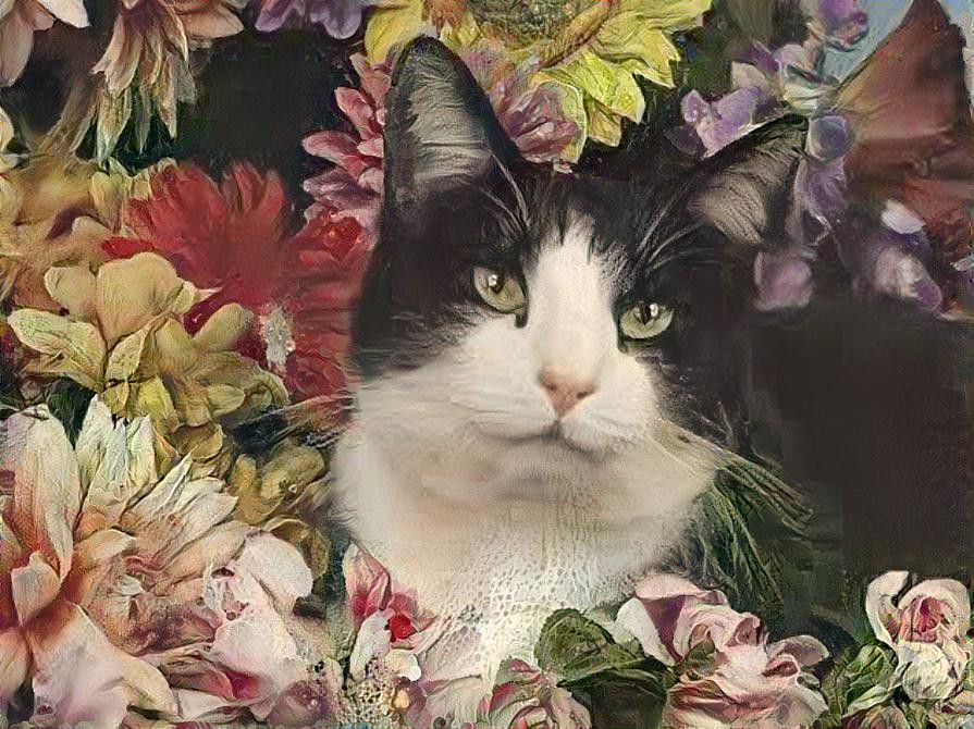 Pinturas de gatoosxd