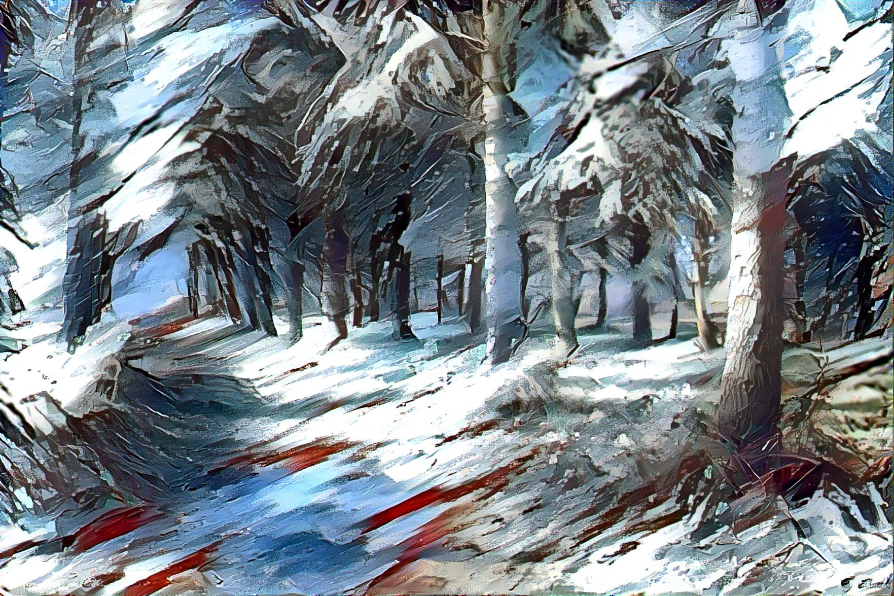 Winter in the Woods