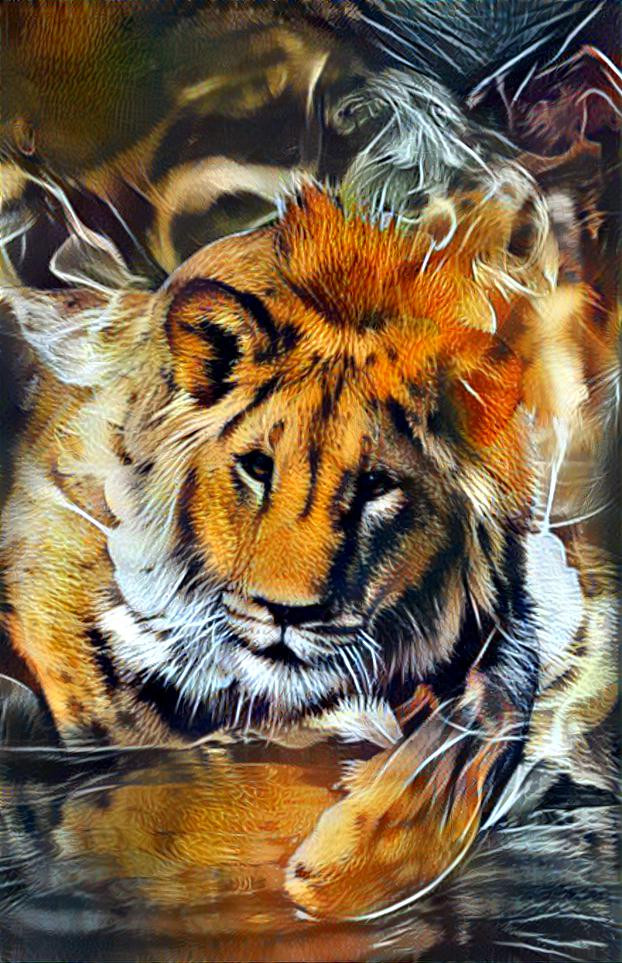 Lion tiger