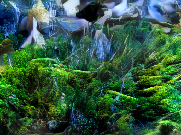 Beautiful widerton moss at Tegel Forest, Berlin I-02 (52.598745° 13.268767°)