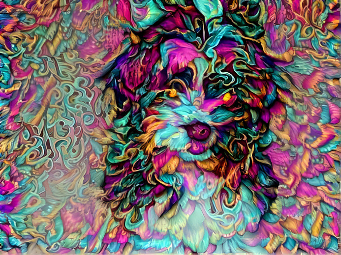 Doggo 2