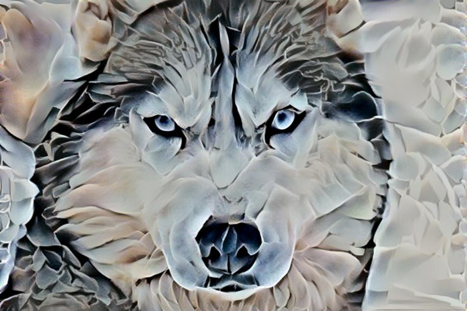 Nature Wolf