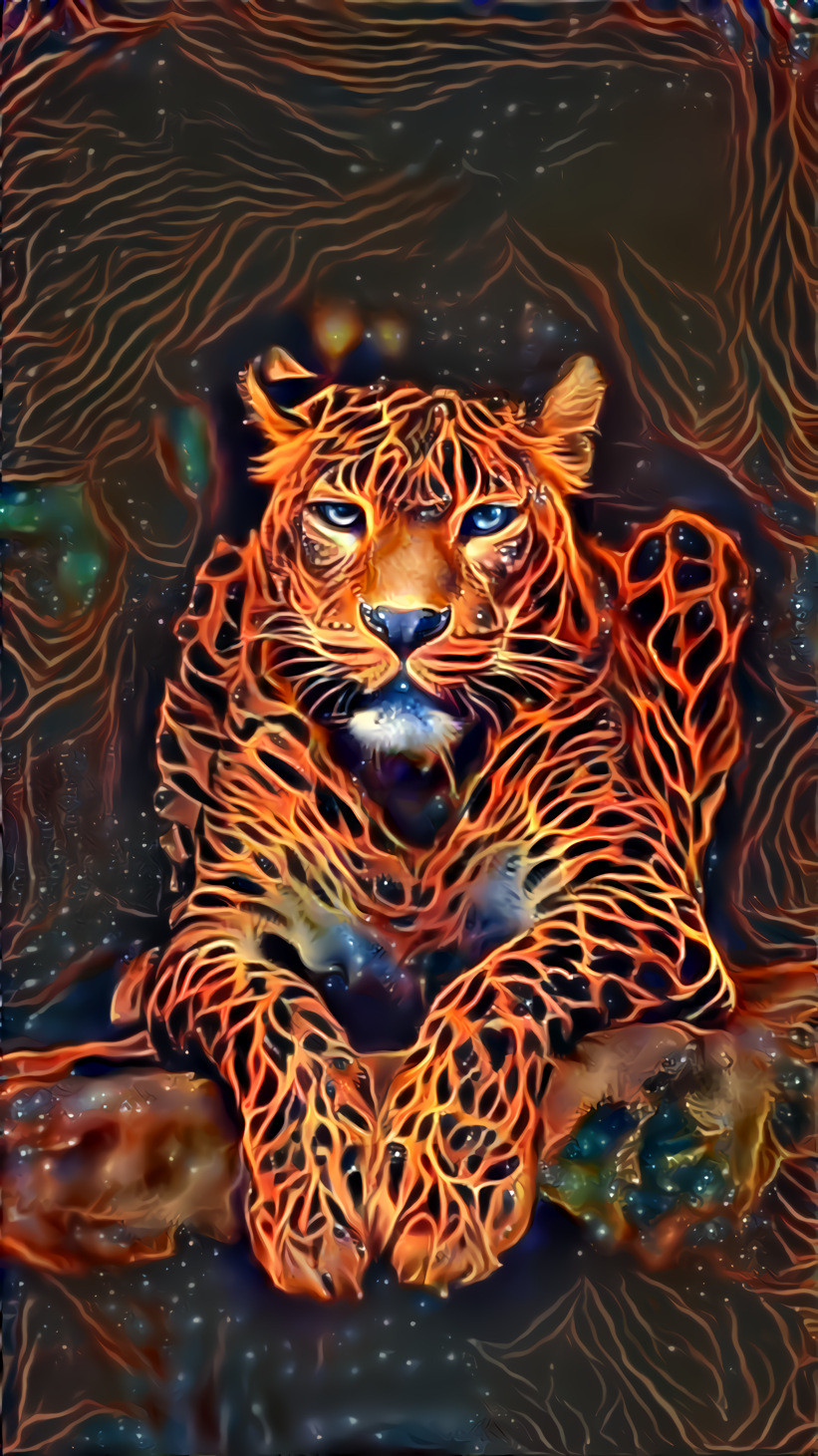 Jaguar or Leopard ? 