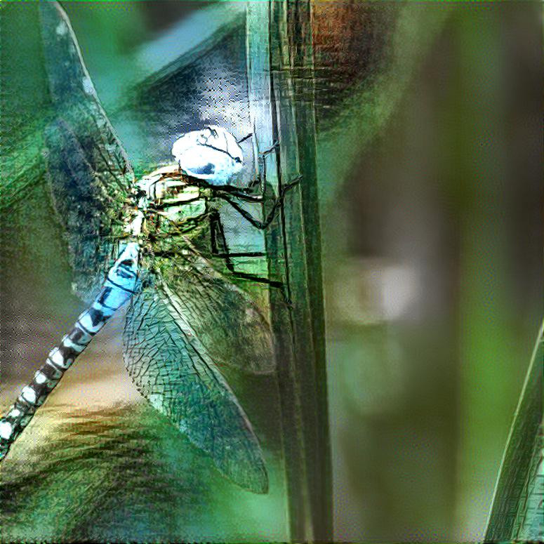 Glass Dragonfly
