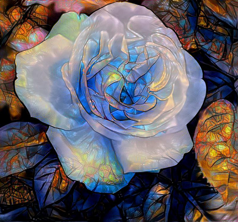 Wonderous stained glass rose