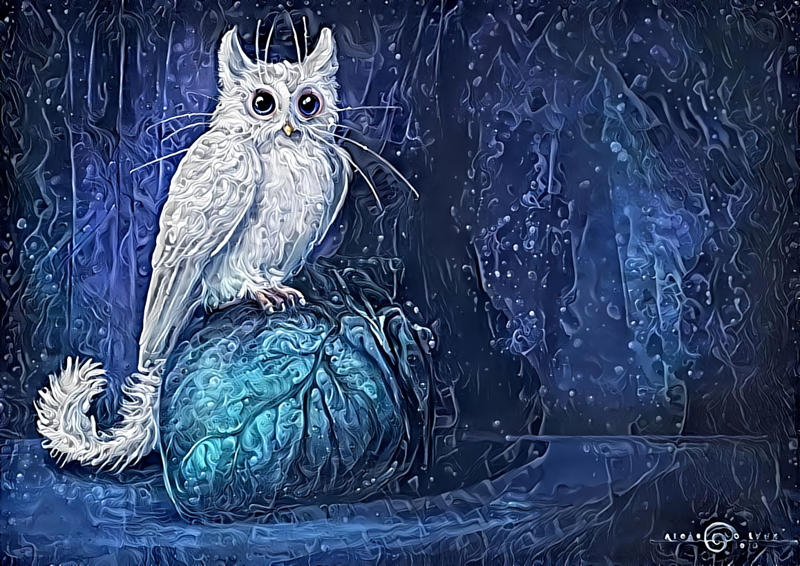 "Meowl" _ source: "Cat-Owl" - artwork by AlsaresLynx _ (210214)