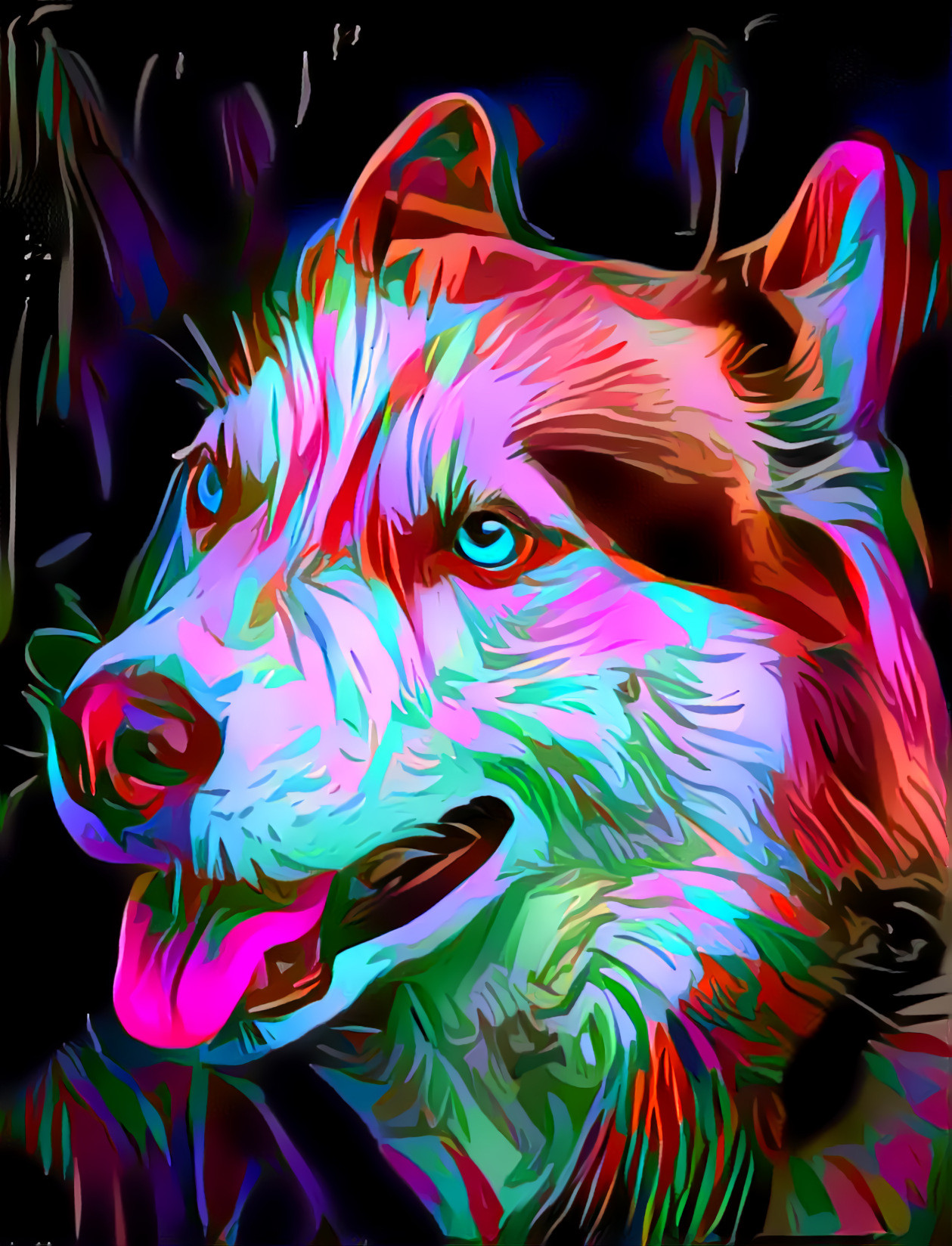 Colorful Dog [FHD]