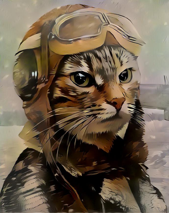 Pilot cat