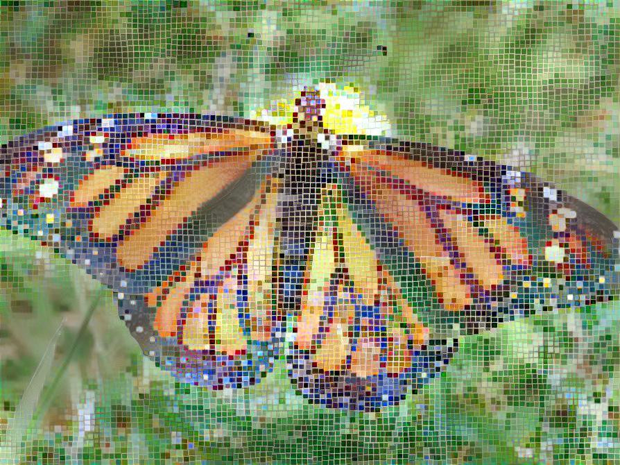 Butterfly Squared