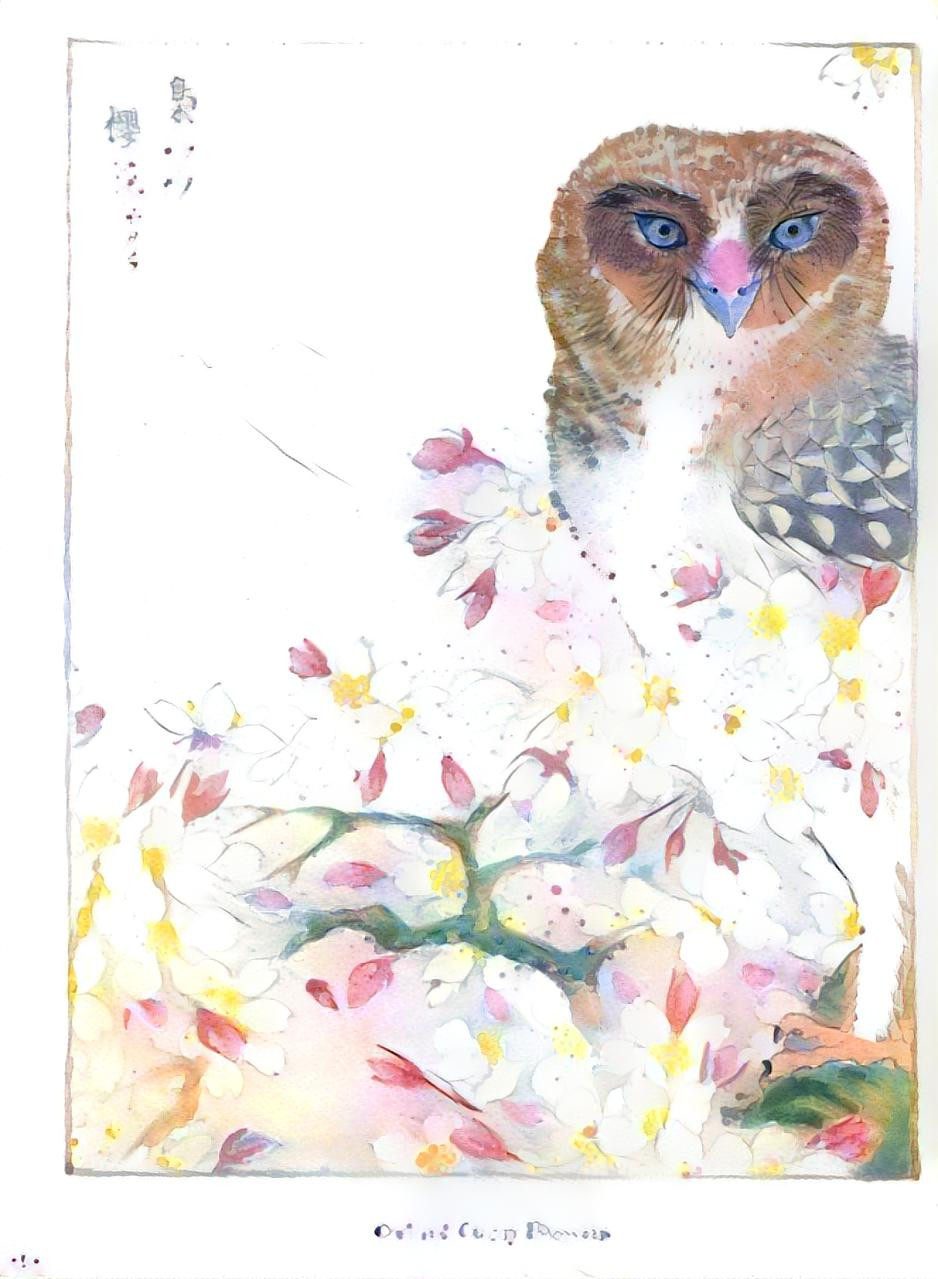 Springtime Owl