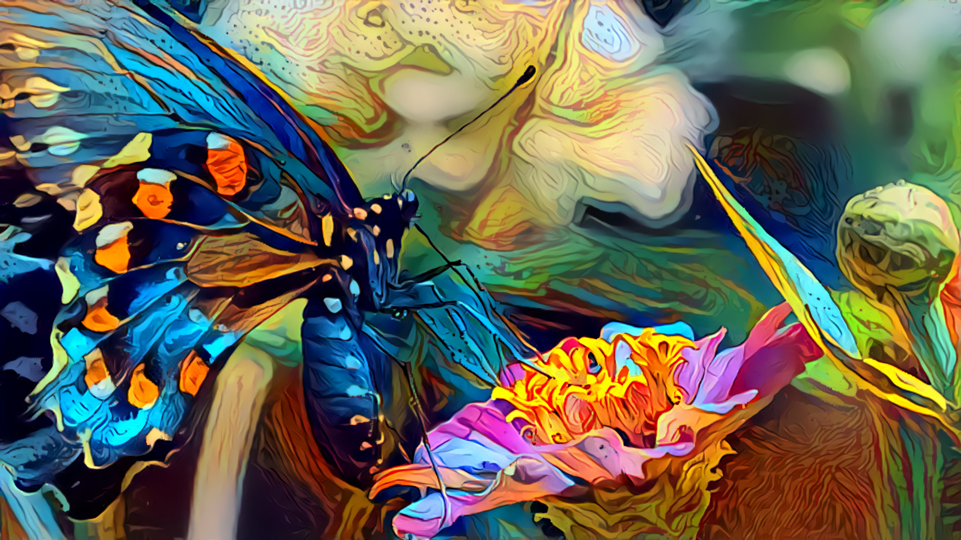 Butterfly and Zinnia - 2