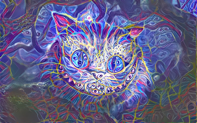 Smiling cat eyes