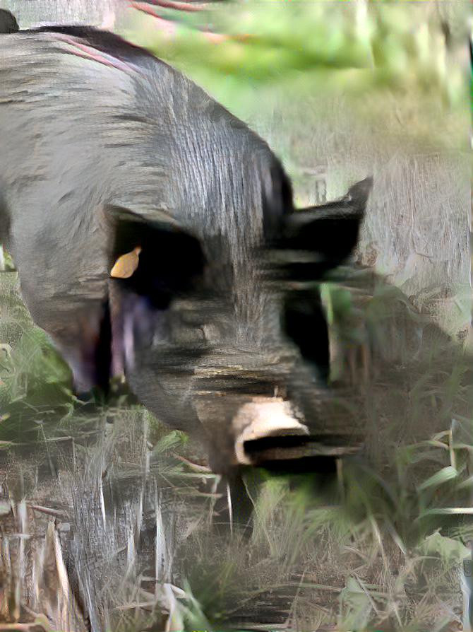 Pig painting