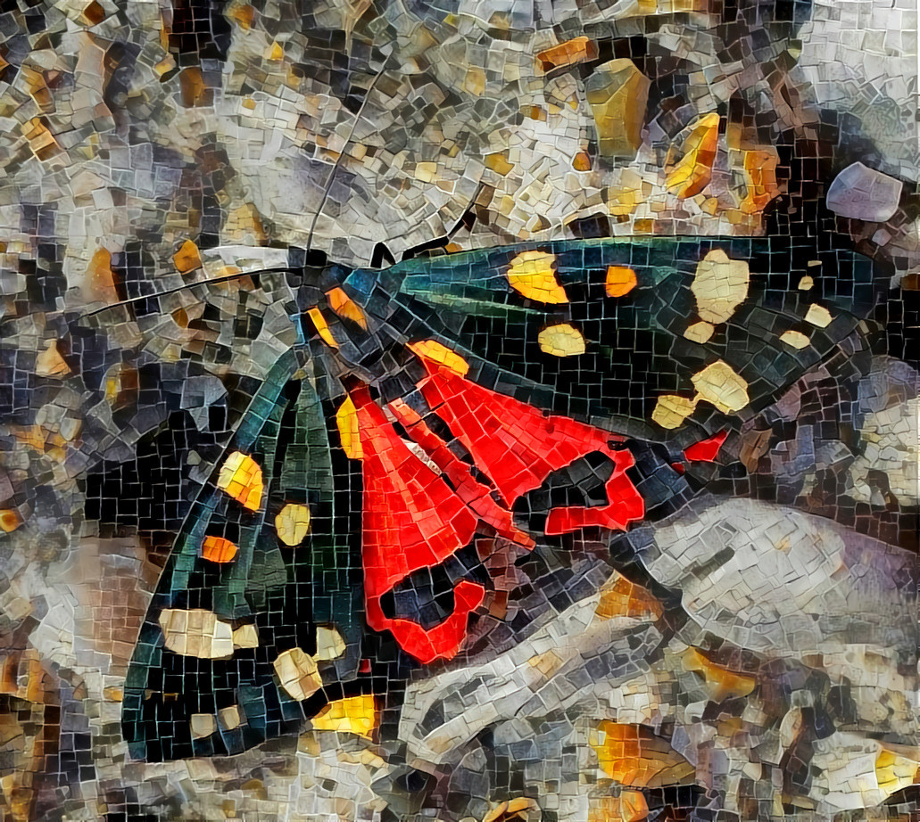 Unidentified butterfly/moth in a shared car park near my house