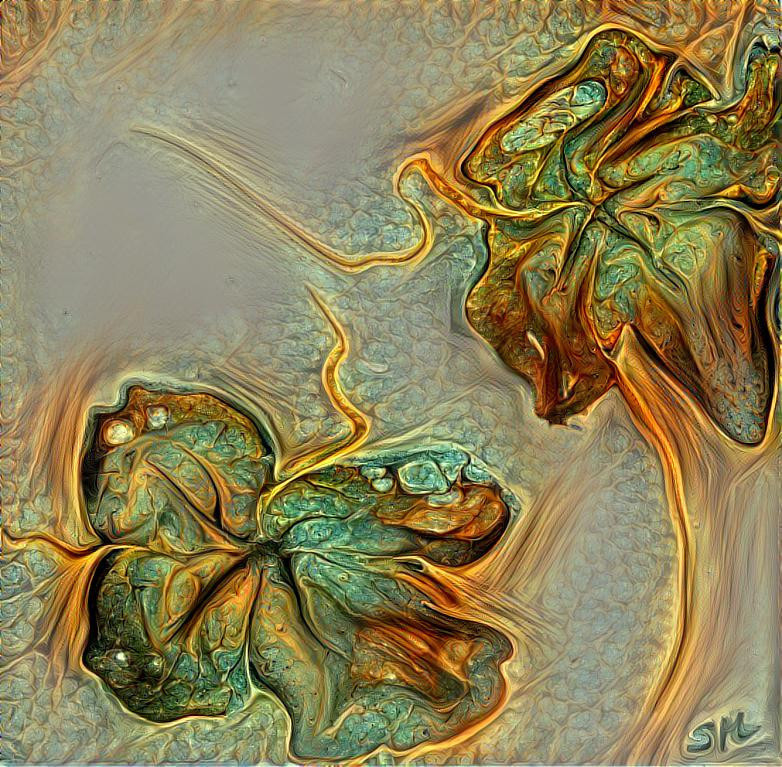 Weird Flowers