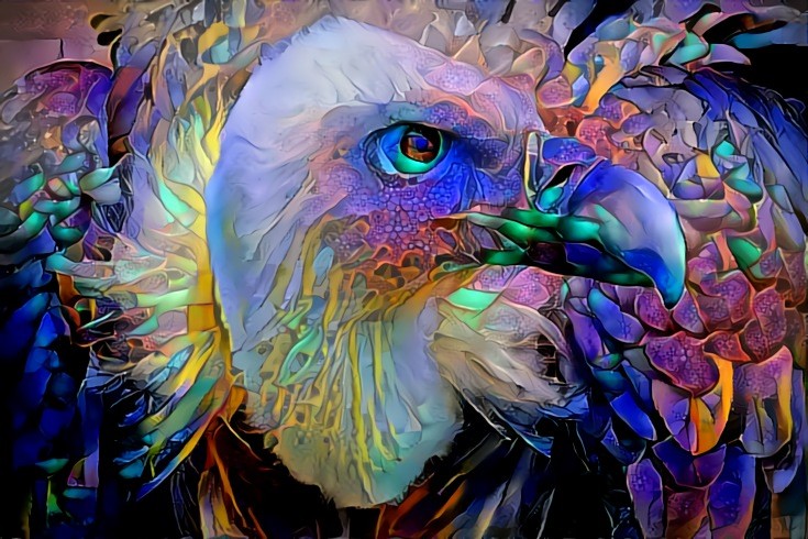Colour Vulture