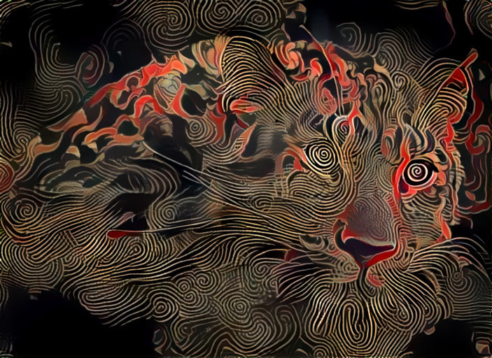 Panthera's vibes