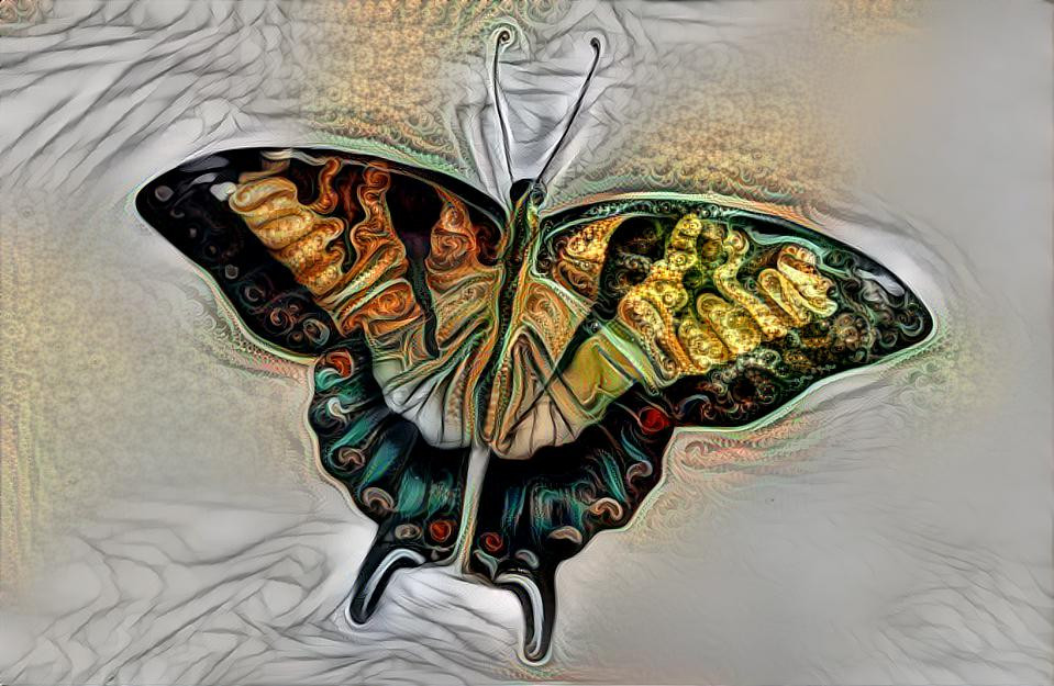 Swallowtail Dream