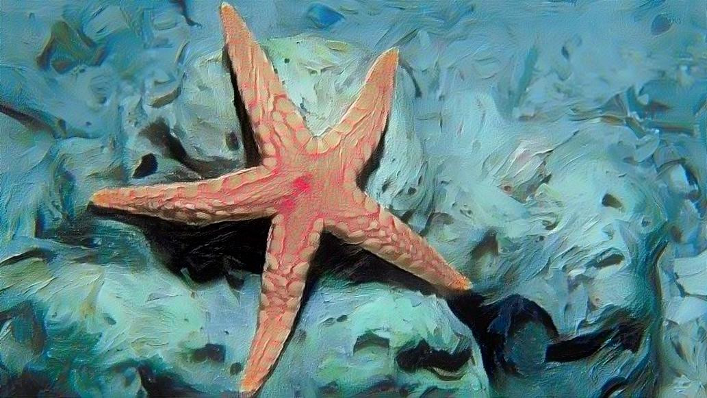 a star in the sea