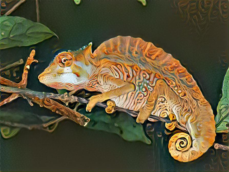 Crested Chameleon (Trioceros cristatus)
