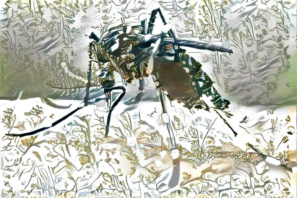 psychodelic tiger mosquito
