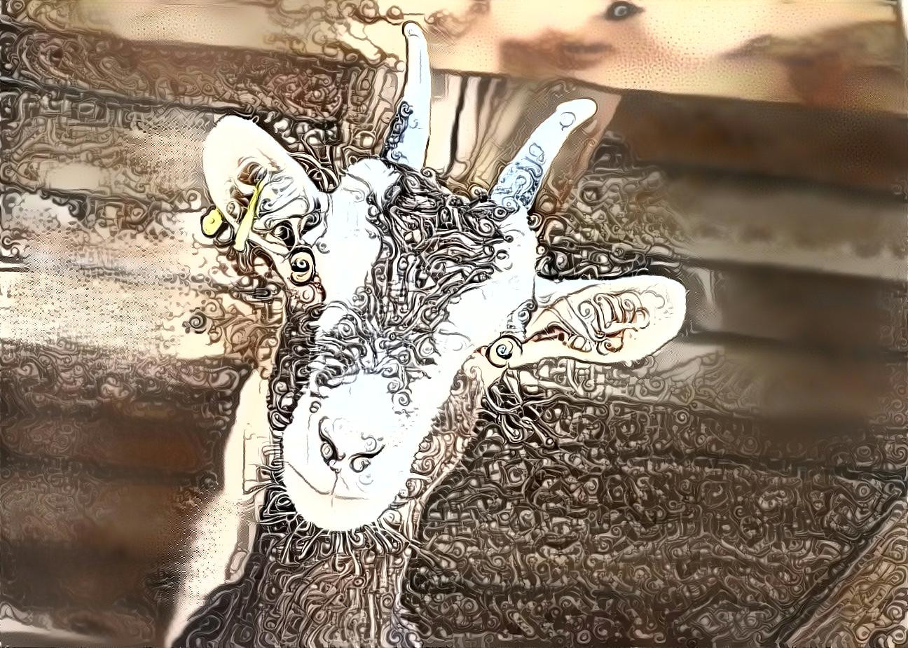 asdf goat