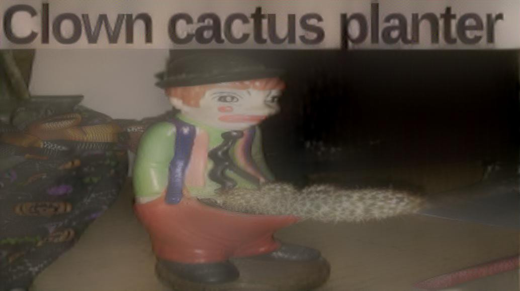 Clown cactus planter