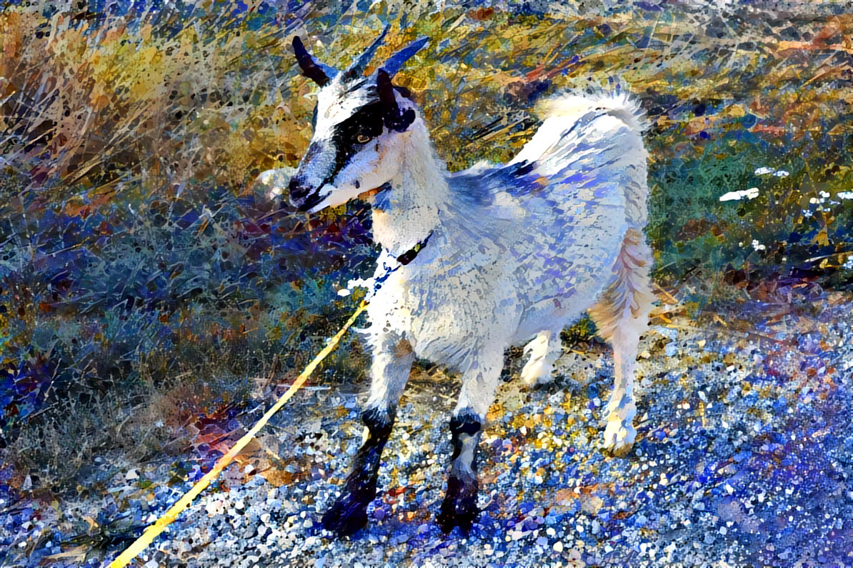Violetta's goats 4 pollock knockoff 1