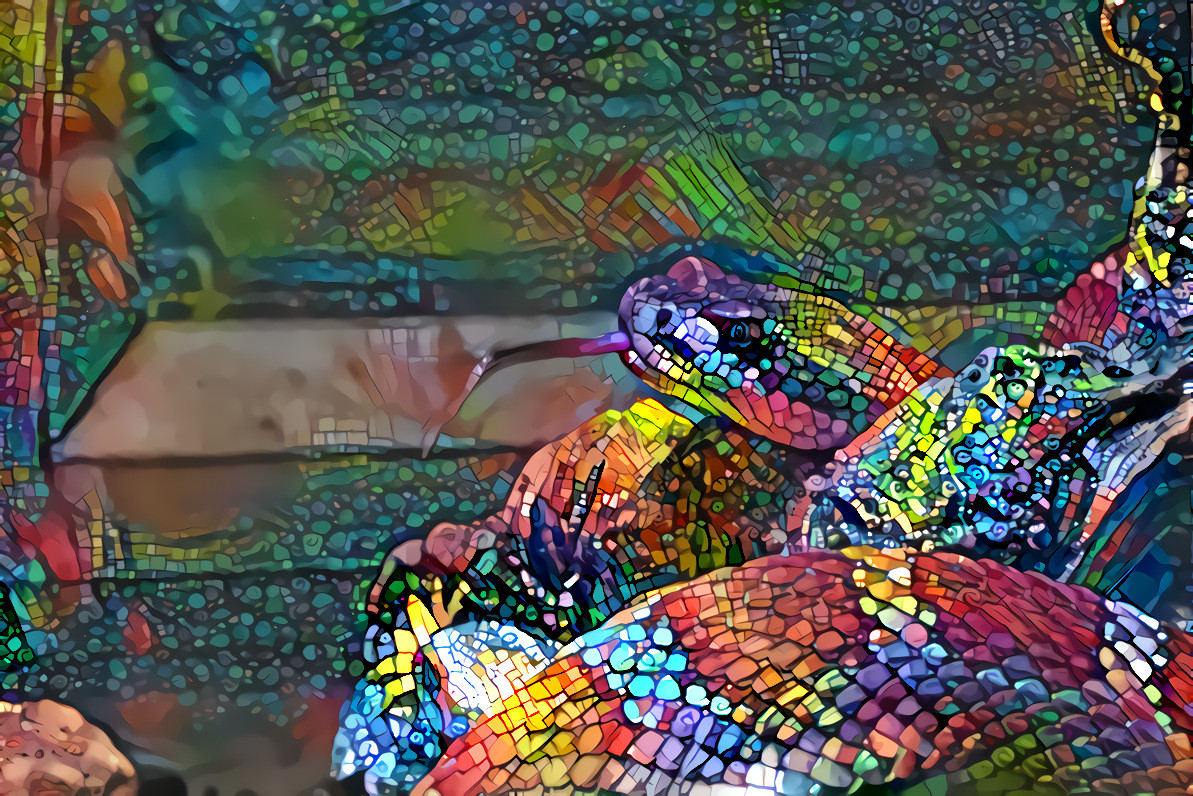 Rainbow Serpent Rising (my captive yard invader)