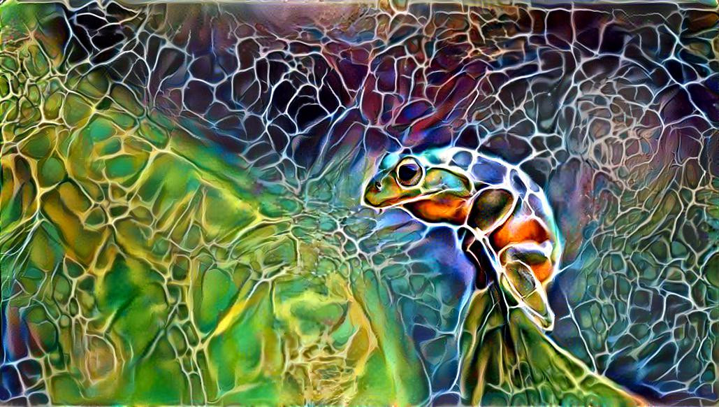 Cracked Froggo