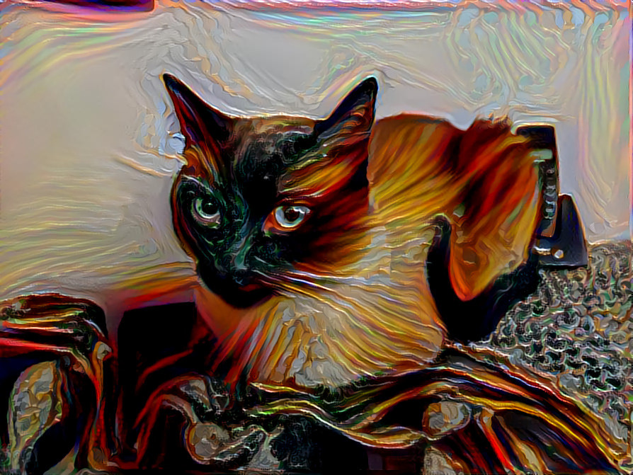 Canvas Cat